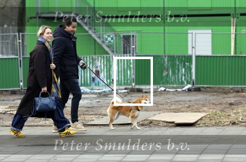 Amsterdam 31 januari 2026
Mark Baanders met zijn hond en een vriendin op straat in Amsterdam zuid .