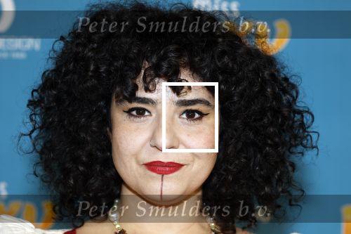 Amsterdam 24 januari 2026
Premiere Miss Molly in Tuschinski met in de cast oa Sarah Bannier (zwanger) en Carice v Houten . Meral Polat kwam met een nichtje