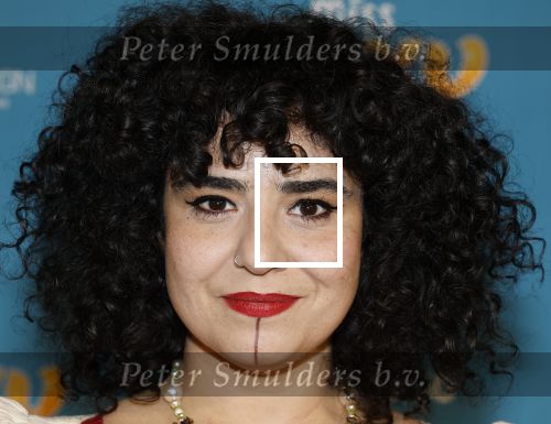 Amsterdam 24 januari 2026
Premiere Miss Molly in Tuschinski met in de cast oa Sarah Bannier (zwanger) en Carice v Houten . Meral Polat kwam met een nichtje