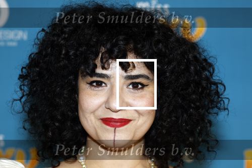 Amsterdam 24 januari 2026
Premiere Miss Molly in Tuschinski met in de cast oa Sarah Bannier (zwanger) en Carice v Houten . Meral Polat kwam met een nichtje