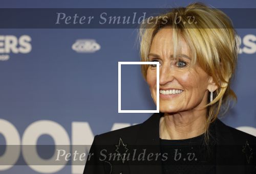 Amsterdam 16 februari 2026
Premiere Boomers met oa Huub Stapel Jennifer Hofman ( zwanger) Renee Fokker Johanna Ter Steege Hans Kesting Serge Henri Valcke ea  in Tuschinski . Natasja Froger kwam met een vriendin