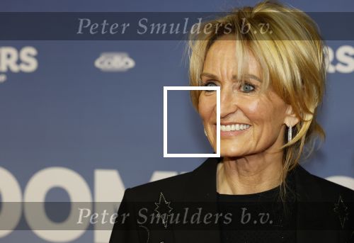 Amsterdam 16 februari 2026
Premiere Boomers met oa Huub Stapel Jennifer Hofman ( zwanger) Renee Fokker Johanna Ter Steege Hans Kesting Serge Henri Valcke ea  in Tuschinski . Natasja Froger kwam met een vriendin