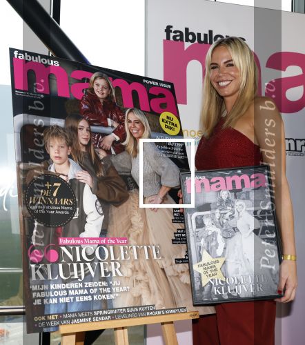 Badhoevedorp 11 februari 2026
Fabulous mama of the yeat in het Corendon Hotel.
Nicolette Kluijver werd de fabulous mama of the year