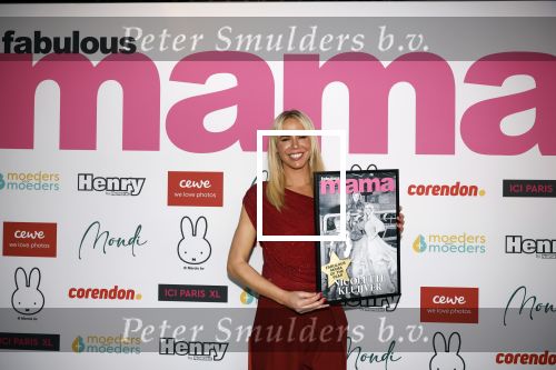 Badhoevedorp 11 februari 2026
Fabulous mama of the yeat in het Corendon Hotel.
Nicolette Kluijver werd de fabulous mama of the year