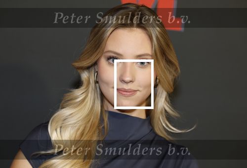 Amsterdam 5 februari 2026
Premiere Vakkenvullers XL in Pathe Noord . Noa Jacobus