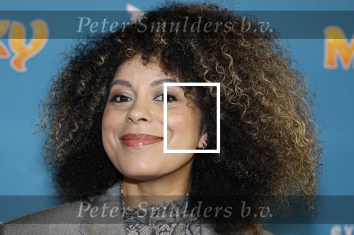 Amsterdam 24 januari 2026
Premiere Miss Molly in Tuschinski met in de cast oa Sarah Bannier (zwanger) en Carice v Houten . Noa Johannes