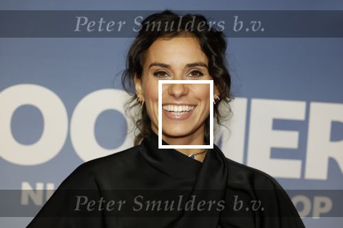 Amsterdam 16 februari 2026
Premiere Boomers met oa Huub Stapel Jennifer Hofman ( zwanger) Renee Fokker Johanna Ter Steege Hans Kesting Serge Henri Valcke ea  in Tuschinski . Ortal Vriend