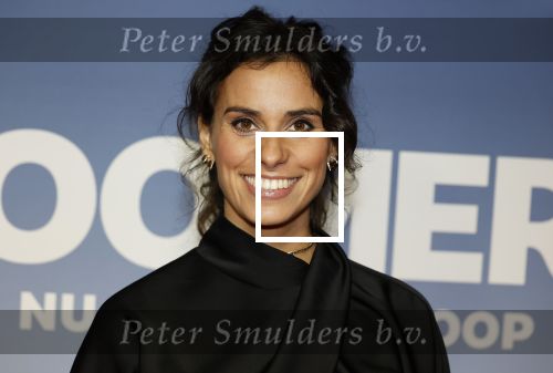 Amsterdam 16 februari 2026
Premiere Boomers met oa Huub Stapel Jennifer Hofman ( zwanger) Renee Fokker Johanna Ter Steege Hans Kesting Serge Henri Valcke ea  in Tuschinski . Ortal Vriend