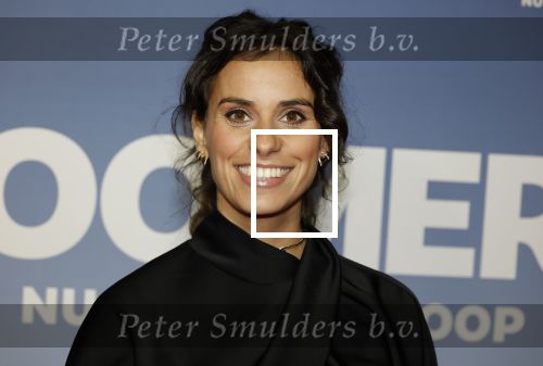 Amsterdam 16 februari 2026
Premiere Boomers met oa Huub Stapel Jennifer Hofman ( zwanger) Renee Fokker Johanna Ter Steege Hans Kesting Serge Henri Valcke ea  in Tuschinski . Ortal Vriend