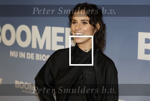 Amsterdam 16 februari 2026
Premiere Boomers met oa Huub Stapel Jennifer Hofman ( zwanger) Renee Fokker Johanna Ter Steege Hans Kesting Serge Henri Valcke ea  in Tuschinski . Ortal Vriend