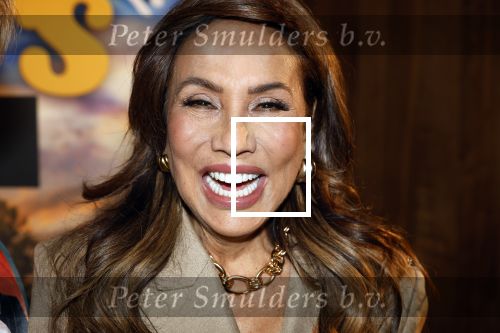 Tilburg 29 januari 2026
Premiere de Bevers in de schouwburg van Tilburg . John de Bever en Kees de Bever geven een voorstelling met oa Bas Muijs Adje v Bavel en Mariska v Kolck. Patty Brard