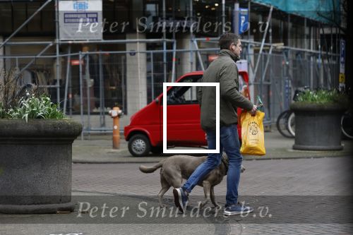 Amsterdam 20 februari 2026
Prins Maurits met zijn hond in Amsterdam zuid.