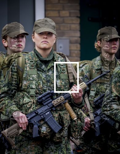 Ermelo 23 januari 2026
Prinses Amalia heeft haar  militaire opleiding afgerond en is bevorderd tot korporaal . Ze krijgt haar Baret .
Koningin Maxima was aanwezig en was hel erg trots