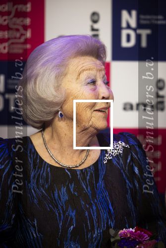 Den Haag 4 februari 2026
Prinses Beatrix Prins Constantijn en Prinses Laurentien zijn bij de openingsabond van het Holands Dance Festival in Amare.