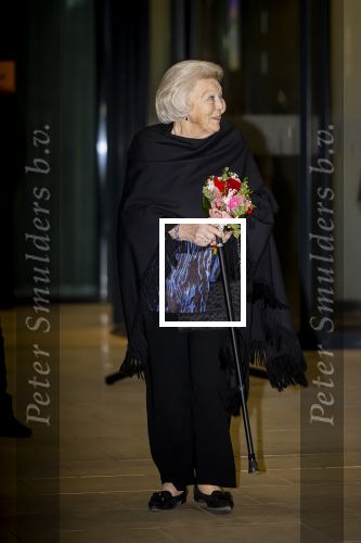 Den Haag 4 februari 2026
Prinses Beatrix Prins Constantijn en Prinses Laurentien zijn bij de openingsabond van het Holands Dance Festival in Amare.