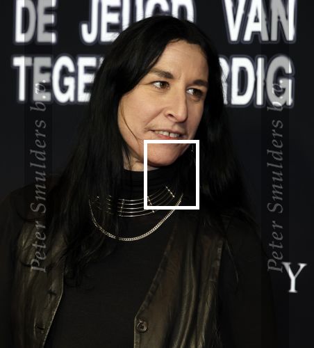 Amsterdam  17 februari 2026
Premiere making of de jeugd van tegenwoordig in Tuschinski. 
Raven v Dorst