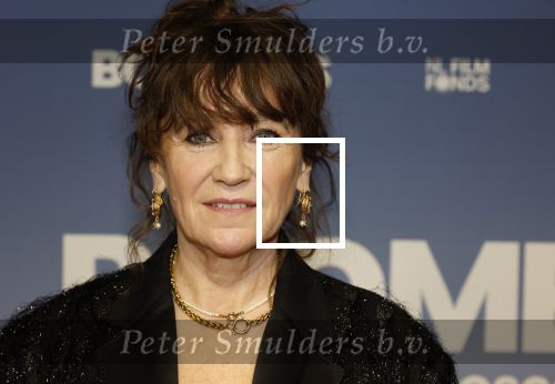 Amsterdam 16 februari 2026
Premiere Boomers met oa Huub Stapel Jennifer Hofman ( zwanger) Renee Fokker Johanna Ter Steege Hans Kesting Serge Henri Valcke ea  in Tuschinski .
