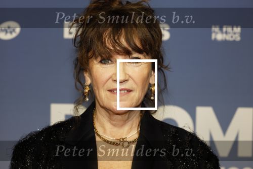 Amsterdam 16 februari 2026
Premiere Boomers met oa Huub Stapel Jennifer Hofman ( zwanger) Renee Fokker Johanna Ter Steege Hans Kesting Serge Henri Valcke ea  in Tuschinski .