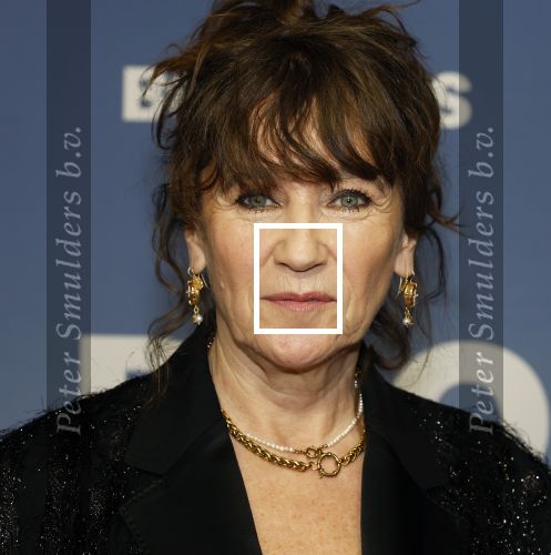 Amsterdam 16 februari 2026
Premiere Boomers met oa Huub Stapel Jennifer Hofman ( zwanger) Renee Fokker Johanna Ter Steege Hans Kesting Serge Henri Valcke ea  in Tuschinski .