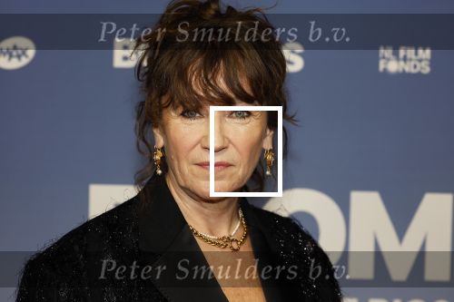 Amsterdam 16 februari 2026
Premiere Boomers met oa Huub Stapel Jennifer Hofman ( zwanger) Renee Fokker Johanna Ter Steege Hans Kesting Serge Henri Valcke ea  in Tuschinski .