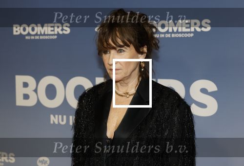 Amsterdam 16 februari 2026
Premiere Boomers met oa Huub Stapel Jennifer Hofman ( zwanger) Renee Fokker Johanna Ter Steege Hans Kesting Serge Henri Valcke ea  in Tuschinski .