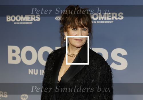 Amsterdam 16 februari 2026
Premiere Boomers met oa Huub Stapel Jennifer Hofman ( zwanger) Renee Fokker Johanna Ter Steege Hans Kesting Serge Henri Valcke ea  in Tuschinski .
