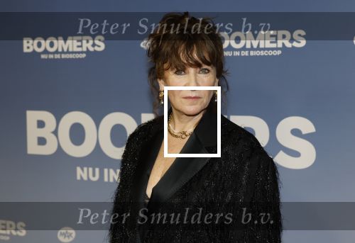 Amsterdam 16 februari 2026
Premiere Boomers met oa Huub Stapel Jennifer Hofman ( zwanger) Renee Fokker Johanna Ter Steege Hans Kesting Serge Henri Valcke ea  in Tuschinski .