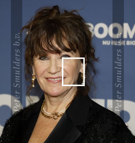 Amsterdam 16 februari 2026
Premiere Boomers met oa Huub Stapel Jennifer Hofman ( zwanger) Renee Fokker Johanna Ter Steege Hans Kesting Serge Henri Valcke ea  in Tuschinski .