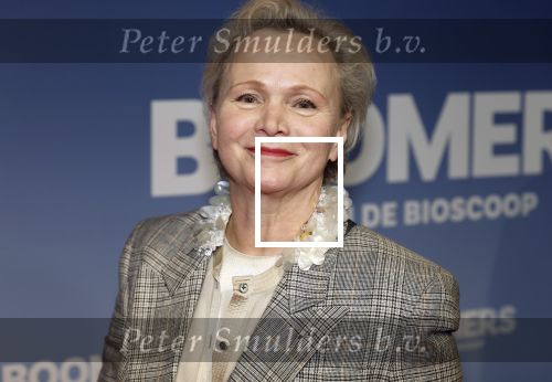 Amsterdam 16 februari 2026
Premiere Boomers met oa Huub Stapel Jennifer Hofman ( zwanger) Renee Fokker Johanna Ter Steege Hans Kesting Serge Henri Valcke ea  in Tuschinski . Renee Soutendijk kwam met man Thed Lensen