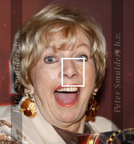 Amsterdam 26 januari 2026
Premiere ons pap wil bij de revue in het deLaMar theater . Ria Valk