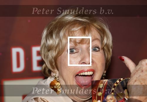 Amsterdam 26 januari 2026
Premiere ons pap wil bij de revue in het deLaMar theater . Ria Valk