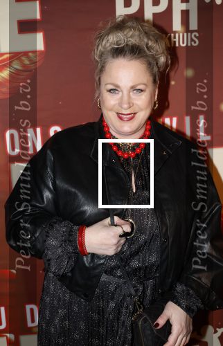 Amsterdam 26 januari 2026
Premiere ons pap wil bij de revue in het deLaMar theater . Rian Gerritsen