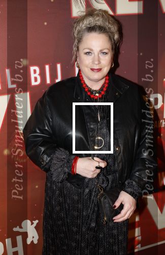 Amsterdam 26 januari 2026
Premiere ons pap wil bij de revue in het deLaMar theater . Rian Gerritsen