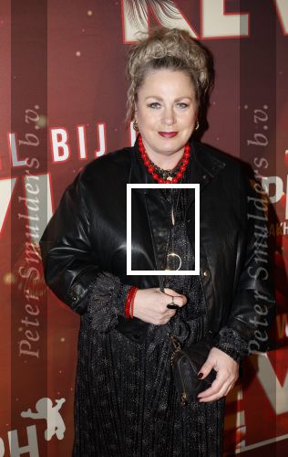 Amsterdam 26 januari 2026
Premiere ons pap wil bij de revue in het deLaMar theater . Rian Gerritsen