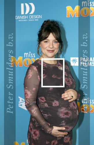 Amsterdam 24 januari 2026
Premiere Miss Molly in Tuschinski met in de cast oa Sarah Bannier (zwanger) en Carice v Houten .