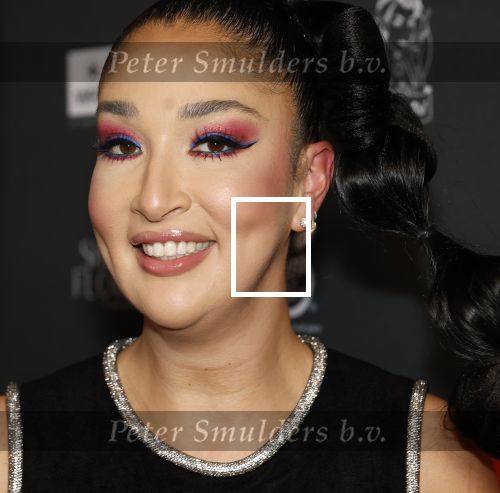 Amsterdam 17 februari 2026
Gala Kimmylien Nguyen voor Miss Hot pot in hotel arena. Soundos