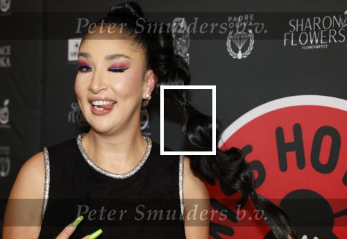 Amsterdam 17 februari 2026
Gala Kimmylien Nguyen voor Miss Hot pot in hotel arena. Soundos