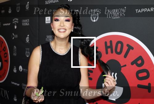 Amsterdam 17 februari 2026
Gala Kimmylien Nguyen voor Miss Hot pot in hotel arena. Soundos
