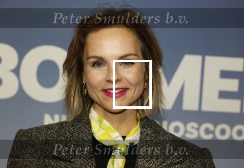 Amsterdam 16 februari 2026
Premiere Boomers met oa Huub Stapel Jennifer Hofman ( zwanger) Renee Fokker Johanna Ter Steege Hans Kesting Serge Henri Valcke ea  in Tuschinski . Stijn Franssen