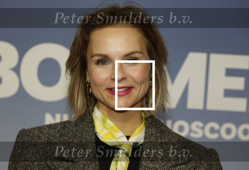 Amsterdam 16 februari 2026
Premiere Boomers met oa Huub Stapel Jennifer Hofman ( zwanger) Renee Fokker Johanna Ter Steege Hans Kesting Serge Henri Valcke ea  in Tuschinski . Stijn Franssen