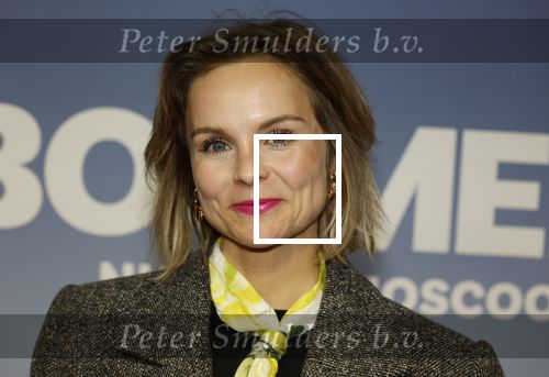Amsterdam 16 februari 2026
Premiere Boomers met oa Huub Stapel Jennifer Hofman ( zwanger) Renee Fokker Johanna Ter Steege Hans Kesting Serge Henri Valcke ea  in Tuschinski . Stijn Franssen