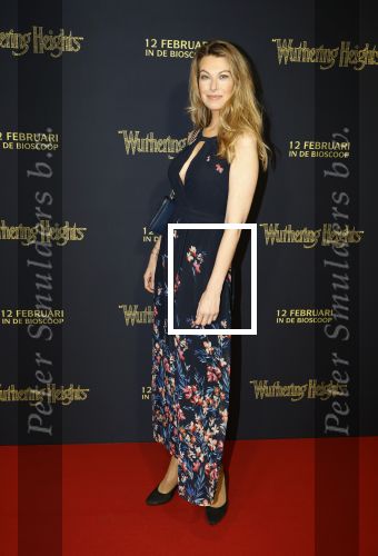 Amsterdam 10 februari 2026
Premiere Wuthering Heights in Tuschinski . Susan Smit
