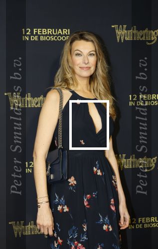 Amsterdam 10 februari 2026
Premiere Wuthering Heights in Tuschinski . Susan Smit