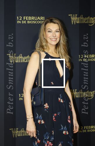 Amsterdam 10 februari 2026
Premiere Wuthering Heights in Tuschinski . Susan Smit