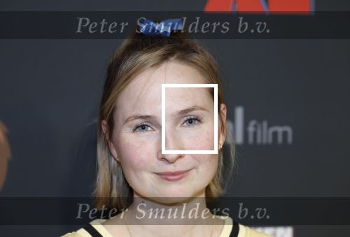 Amsterdam 5 februari 2026
Premiere Vakkenvullers XL in Pathe Noord . Titia Hoogendoorn