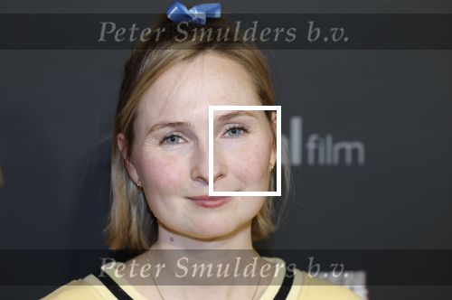 Amsterdam 5 februari 2026
Premiere Vakkenvullers XL in Pathe Noord . Titia Hoogendoorn