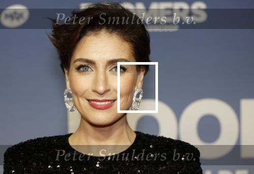 Amsterdam 16 februari 2026
Premiere Boomers met oa Huub Stapel Jennifer Hofman ( zwanger) Renee Fokker Johanna Ter Steege Hans Kesting Serge Henri Valcke ea  in Tuschinski . Vivienne v d Assem