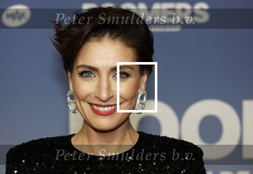 Amsterdam 16 februari 2026
Premiere Boomers met oa Huub Stapel Jennifer Hofman ( zwanger) Renee Fokker Johanna Ter Steege Hans Kesting Serge Henri Valcke ea  in Tuschinski . Vivienne v d Assem