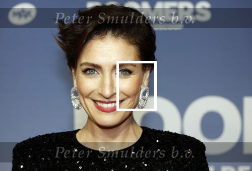 Amsterdam 16 februari 2026
Premiere Boomers met oa Huub Stapel Jennifer Hofman ( zwanger) Renee Fokker Johanna Ter Steege Hans Kesting Serge Henri Valcke ea  in Tuschinski . Vivienne v d Assem