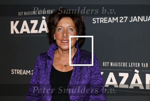 Amsterdam 22 januari 2026
Presentatie het magische leven van Hans Kazan bij hotel l Europe.
Aanwezig Hans Kazan zijn vrouw Wendy Kazan en hun kinderen Lara Kazan Oscar Kazan Renzo Kazan en Steven Kazan